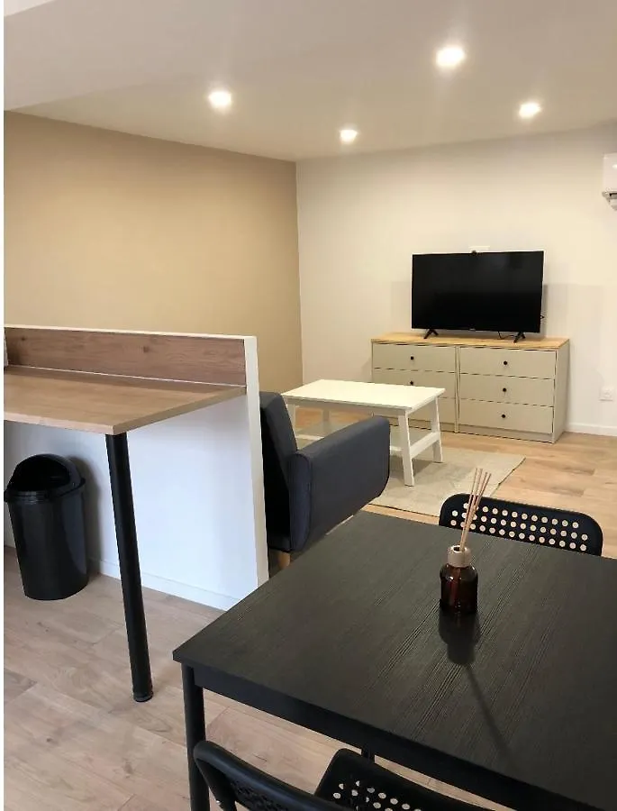 Immeuble Renove Au Centre D'Auch. Apartment  Auch