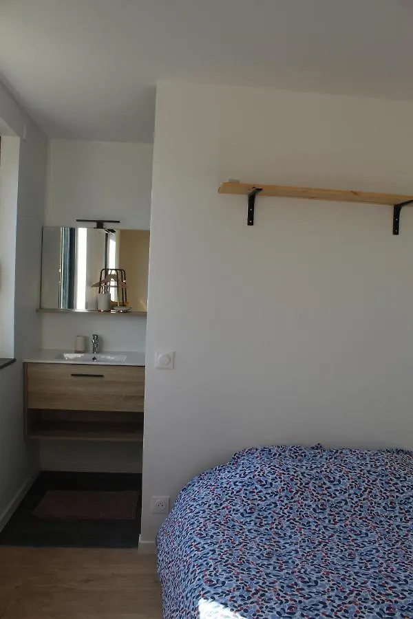 Immeuble Renove Au Centre D'Auch. Apartment
