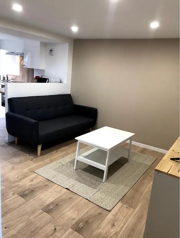 Immeuble Renove Au Centre D'Auch. Apartment